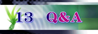 13�@�p���`